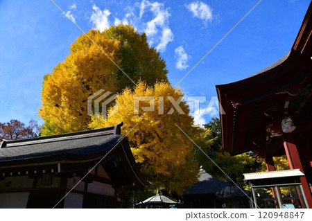 Izumi Kannon 120948847