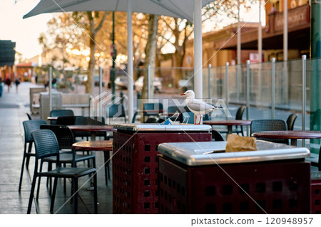 Table and chairs with seagulls photographed outdoors 120948957