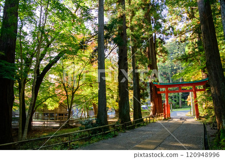 岩手縣中尊寺、白山神社參道與弁財天堂的清爽早晨 120948996