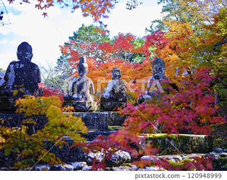 《Kochi Prefecture》 Autumn leaves of Chikurinji Temple 《Kochi Prefecture》 Autumn leaves of Chikurinji Temple 120948999