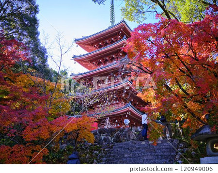 《高知縣》竹林寺紅葉 《高知縣》竹林寺紅葉 120949006