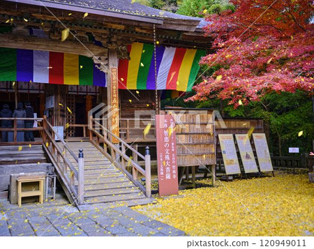 《高知縣》竹林寺紅葉 《高知縣》竹林寺紅葉 120949011