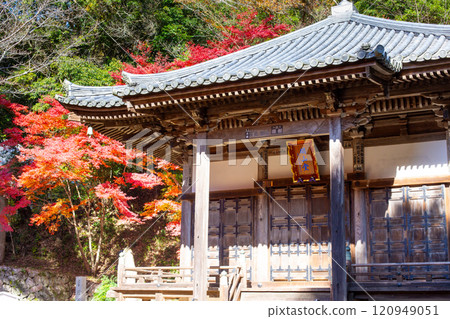 The 26th Fudasho with beautiful autumn colors in Miki City, Hyogo Prefecture Otaniyama Daikeiji Temple Kaisando Kaisando 120949051