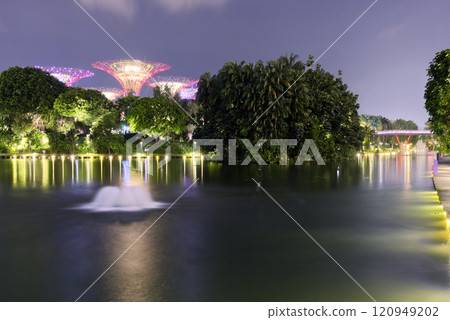 Supertree Grove landmark in Sentosa island, Marina Bay area of Singapore. 120949202