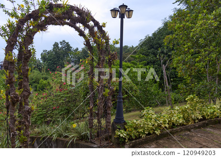 flowers bloom on wooden fence. floral background flowers bloom on wooden fence. floral background 120949203