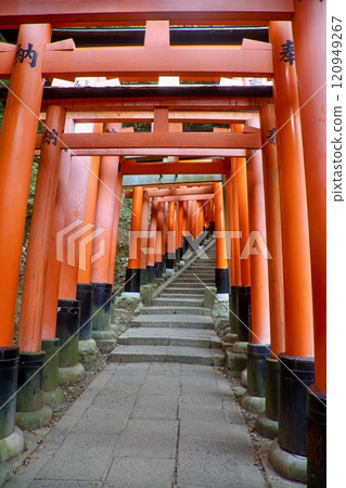 伏見稻荷大社/千本鳥居（京都府伏見區） 120949267
