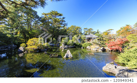 葉山潮騷公園的秋葉 葉山潮騷公園的秋葉 120949341