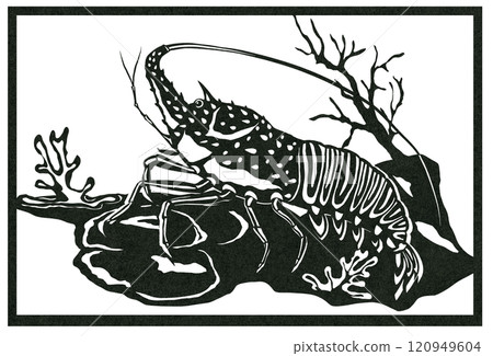 海底龍蝦黑白魚圖 120949604