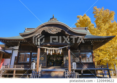 千葉縣市川市、葛飾八幡宮本殿和千本古尊樹 120949622