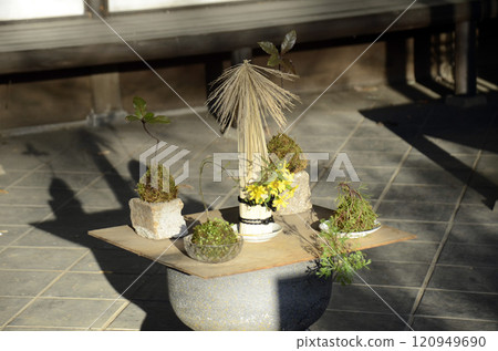 稻草和苔蘚球 稻草和苔蘚球 120949690