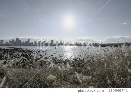 View of Umeda skyscrapers from the Yodo River riverbed in Osaka View of Umeda skyscrapers from the Yodo River riverbed in Osaka 120949741