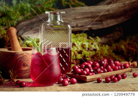 Cranberry cocktail with natural ice and rosemary in frozen glass. Cranberry cocktail with natural ice and rosemary in frozen glass. 120949779