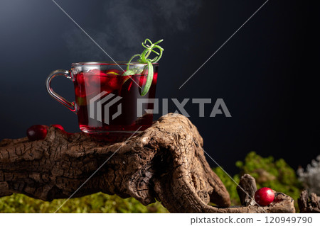 Hot drink with cranberries, lime, and rosemary. 120949790