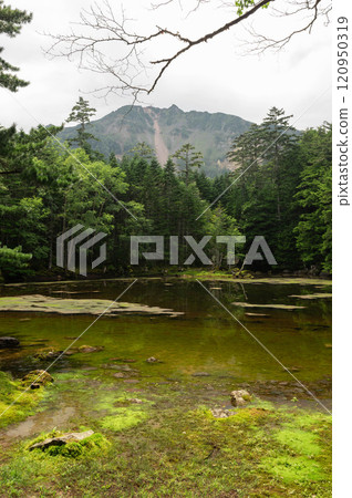 雨後的綠池,陽光透過樹林 雨後的綠池,陽光透過樹林 120950319