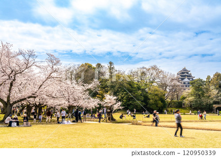 [Japan's Three Greatest Gardens] Special Place of Scenic Beauty: Spring at Korakuen Garden: Cherry Blossoms, Lawn, and Okayama Castle 2, Kita-ku, Okayama City, Okayama Prefecture 120950339