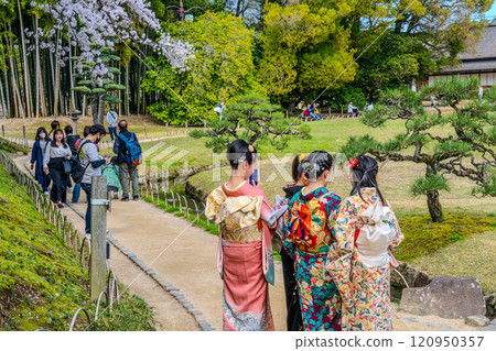 [Japan's Three Greatest Gardens] Special Place of Scenic Beauty: Spring at Korakuen Garden - Women in Long-sleeved Kimono - Kita-ku, Okayama City, Okayama Prefecture 120950357