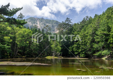 沐浴著夏日陽光的綠池和透過樹林看到的天狗山 120950366