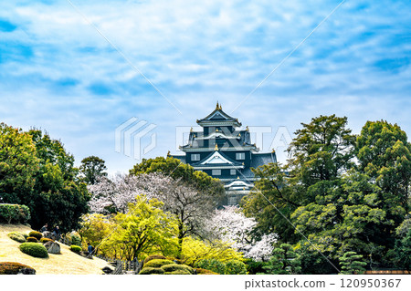 【日本三大名園】特別風景 後樂園 春天、櫻花、岡山城 岡山縣岡山市北區 1 區 120950367