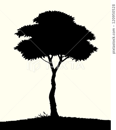 Vector drawing. Big tall tree Vector drawing. Big tall tree 120950528