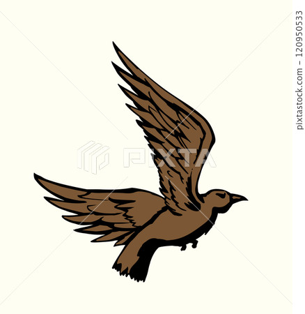 Vector drawing. Big flying bird 120950533