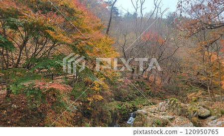 autumn mountain 120950765