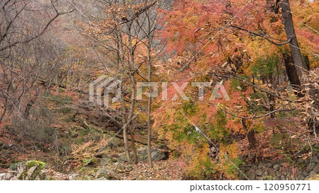 autumn mountain 120950771