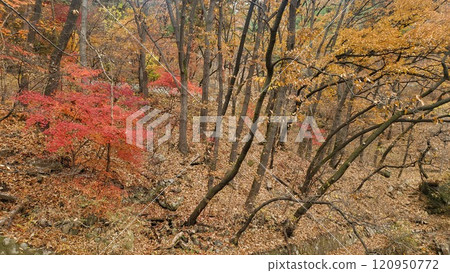 autumn mountain 120950772
