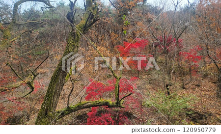 autumn mountain 120950779