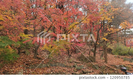 autumn mountain 120950785