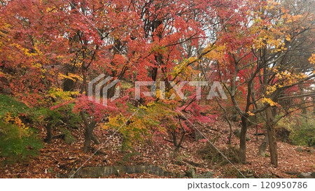 autumn mountain 120950786