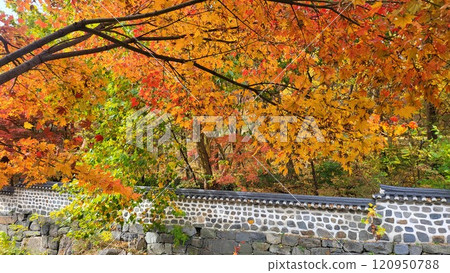 autumn mountain 120950788