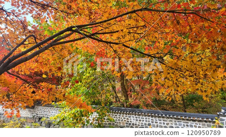 autumn mountain 120950789