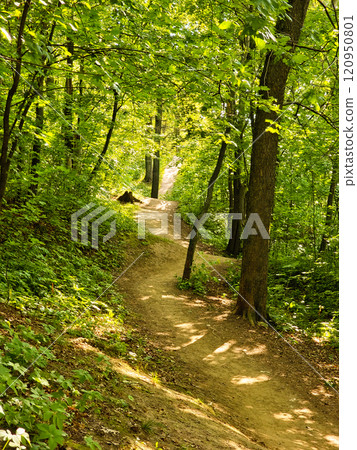 Road is in a beautiful green forest. Road is in a beautiful green forest. 120950801