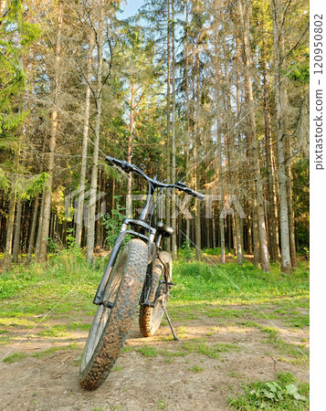 A black fatbike on the background of a beautiful green summer. The concept of a healthy lifestyle. A black fatbike on the background of a beautiful green summer. The concept of a healthy lifestyle. 120950802