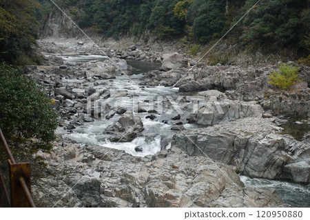 武庫川谷廢棄鐵路健行 武庫川谷廢棄鐵路健行 120950880