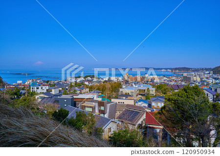 View of the northwest side from Hydrangea Park in Mikaokayama Green Space (Mt. Omine) (Mt. Fuji, Sagami Bay, Enoshima, Horiuchi, Hayama Town, etc.) 120950934