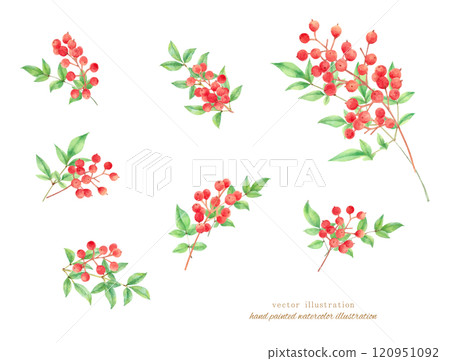 紅色南方天空的水彩手繪向量圖 紅色南方天空的水彩手繪向量圖 120951092