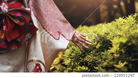 Outdoor, park and woman hand with plant touch, fashion and travel with trip and holiday in Tokyo. City, kimono and weekend with journey, nature and traditional clothes with adventure and style Outdoor, park and woman hand with plant touch, fashion and travel with trip and holiday in Tokyo. City, kimono and weekend with journey, nature and traditional clothes with adventure and style 120951297
