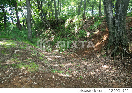 Kanayama Castle Ruins: West Castle Earthworks [Ota City, Gunma Prefecture] 120951951