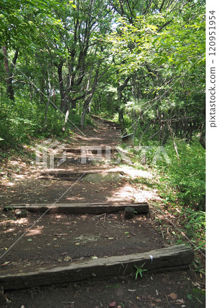 金山城蹟的山路【群馬縣大田市】 金山城蹟的山路【群馬縣大田市】 120951954