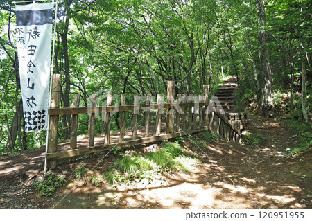 Kanayama Castle ruins, Nishiyaguradai Nishihoriki wooden bridge [Ota City, Gunma Prefecture] 120951955