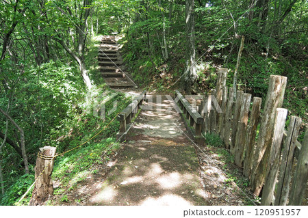 Kanayama Castle ruins, Nishiyaguradai Nishihoriki wooden bridge [Ota City, Gunma Prefecture] 120951957