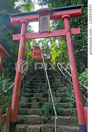 Umewaka Inari Shrine at the ruins of Kanayama Castle [Ota City, Gunma Prefecture] 120951975