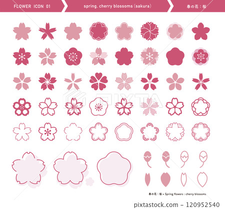 Cherry blossom icon. Spring flower. Silhouette of various shapes. Sakura. 120952540