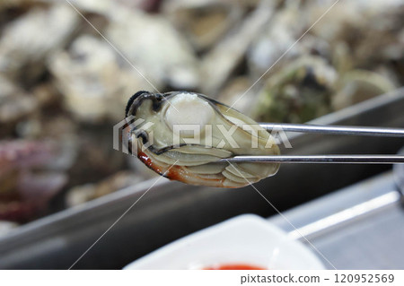 Korean seafood. Steamed Oysters with red chili pepper paste with vinegar 120952569