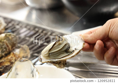 Korean seafood food. Grilled oysters Korean seafood food. Grilled oysters 120952811
