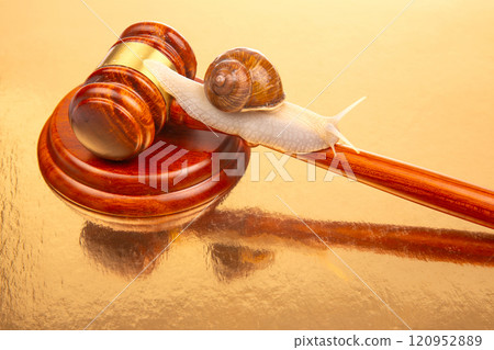 Snail and hammer of justice. The concept of slow adoption of laws and judicial decision 120952889