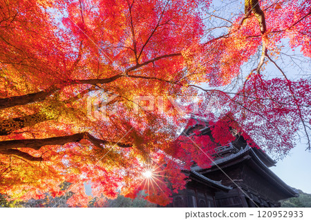 Nanzenji in autumn 120952933