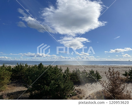 Hill with a view of the sea 120953620