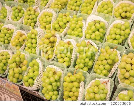 Shine Muscat sales area Shine Muscat sales area 120953666